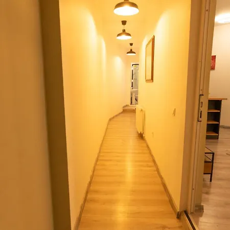 Apartment Downtown Tudor Arghezi House *