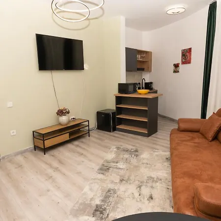 Downtown Tudor Arghezi House Apartment *