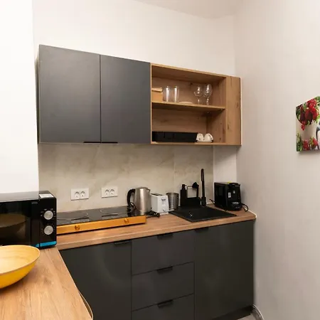 Apartment Downtown Tudor Arghezi House *