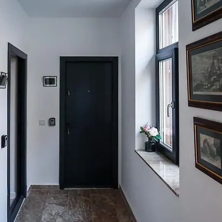 Downtown Tudor Arghezi House Апартаменты