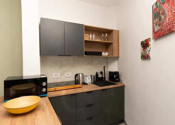 Appartement Downtown Tudor Arghezi House *